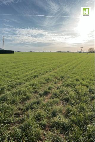 Terrain à bâtir - Vue sur champs , Auchy-lez-orchies