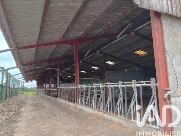 Terrain à vendre 6 850 m² Monsireigne