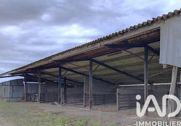 Terrain à vendre 6 850 m² Monsireigne