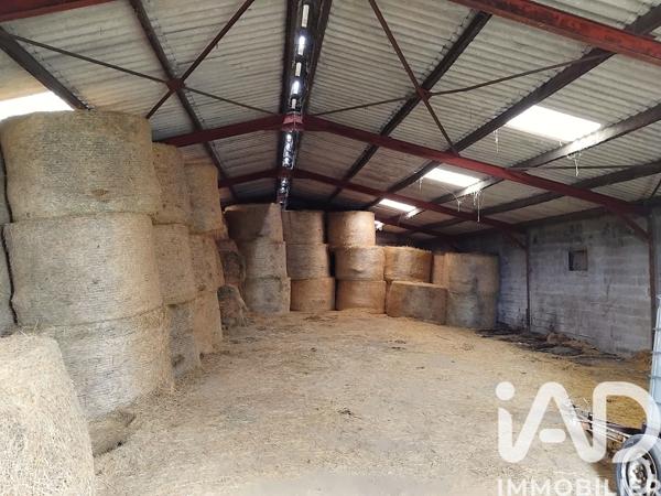 Terrain à vendre 6 850 m² Monsireigne