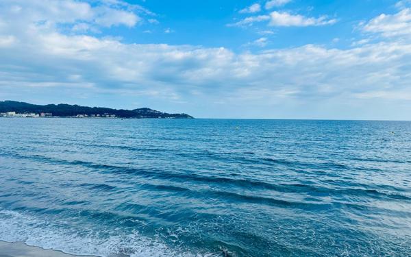 Appartement à vendre    2 pièces • 44,34 m2 La Seyne-sur-Mer