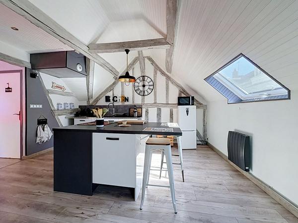 Centre ville Amboise Appartement  de charme 3 pièce(s) 65m²