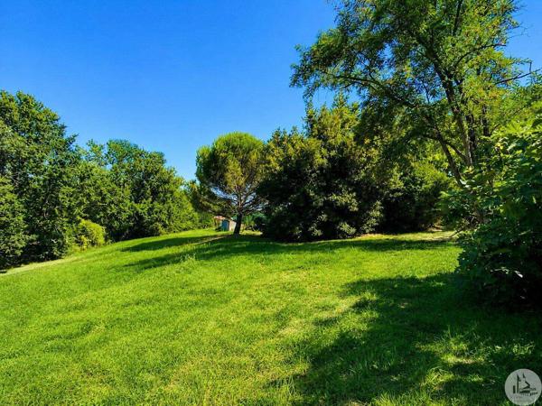 Ensemble immobilier en pierre avec piscine!!!!