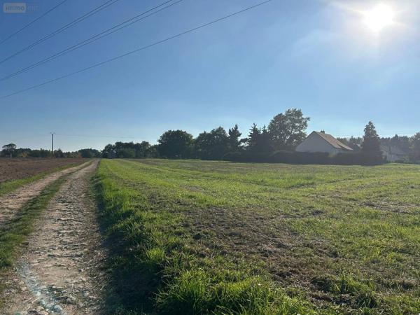 Achat - Terrain à bâtir | Terrain à bâtir Le Magny 36400 3000 m 2 6783 m 2