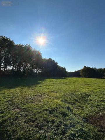 Achat - Terrain à bâtir | Terrain à bâtir Le Magny 36400 3000 m 2 6783 m 2