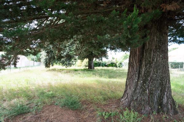 SAINT PIERRE D'OLÉRON Terrain constructible à 250 mètre de la plage.