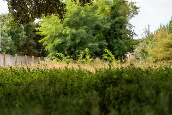 SAINT PIERRE D'OLÉRON Terrain constructible à 250 mètre de la plage.