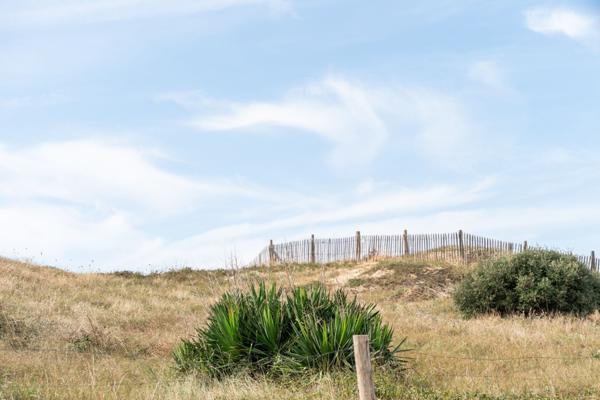 SAINT PIERRE D'OLÉRON Terrain constructible à 250 mètre de la plage.