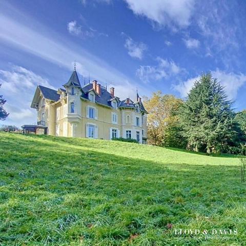 CHATEAU le "DOMAINE DES SOYEUX"