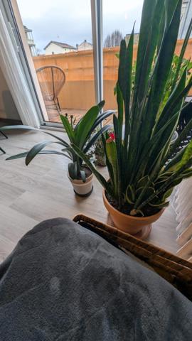 Appartement en centre ville dans copropriété sécurisée