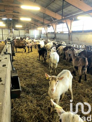 Maison à vendre 18 pièces 519 m² Ambialet