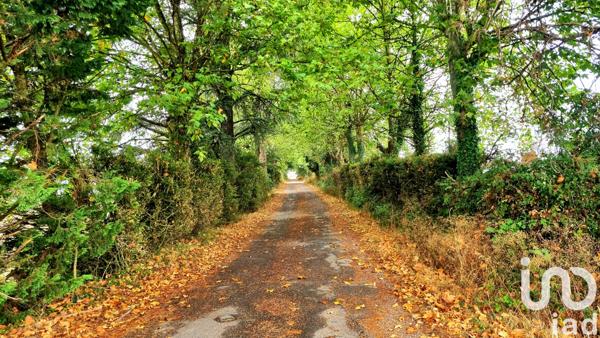 Maison à vendre 18 pièces 519 m² Ambialet