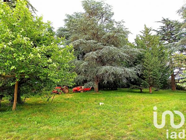 Maison à vendre 18 pièces 519 m² Ambialet