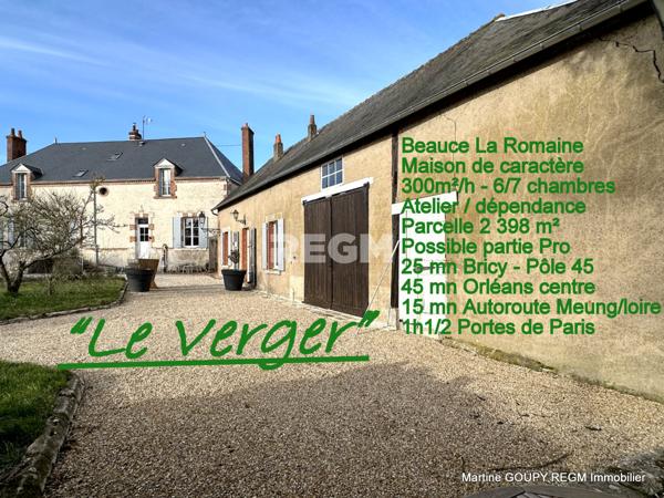 Ouzouer-le-Marché (41240) BEAUCE LA ROMAINE (Ouzouer-le-Marché) 41 – Grande maison familiale – 6/7 Chbres -300 m² hab – Ateliers-Dépenda