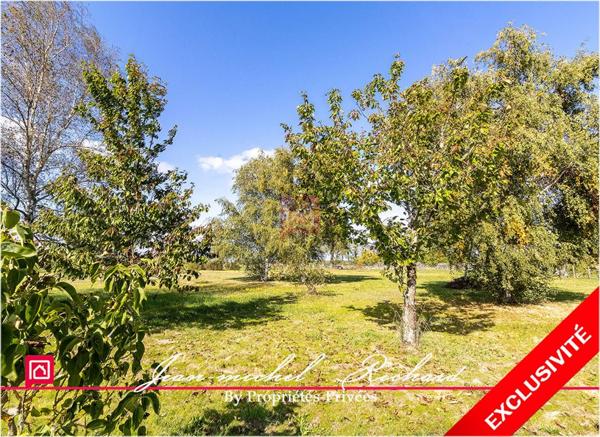 Terrain Billy 5550 m2