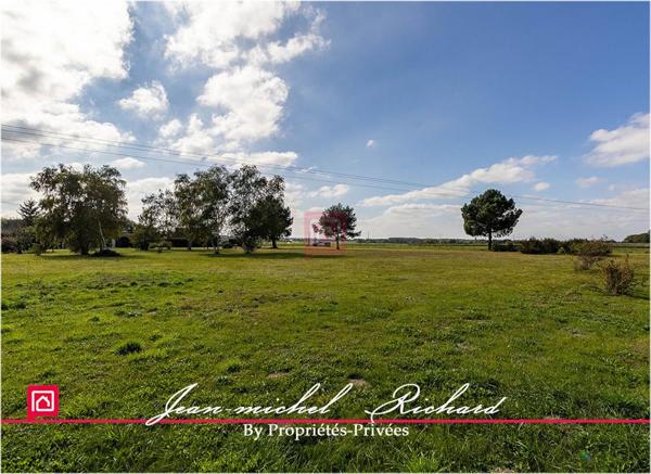 Terrain Billy 5550 m2