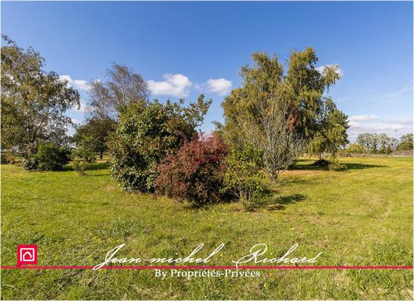 Terrain Billy 5550 m2