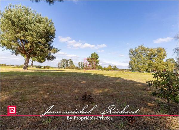 Terrain Billy 5550 m2