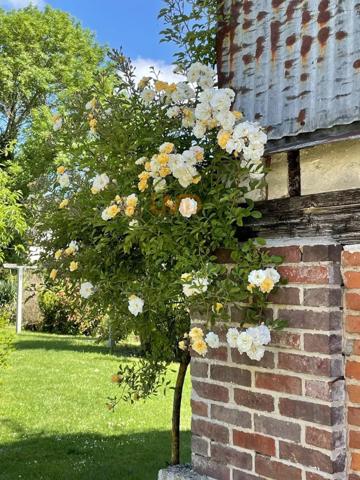 gîte de charme 7 chambres de 250m2