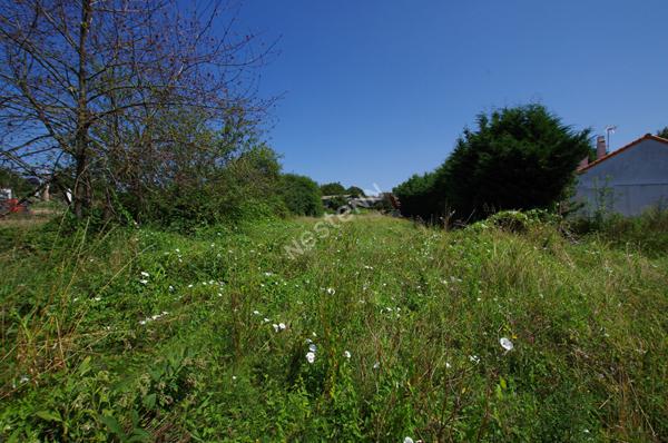 Terrain Montrevault Sur Evre d'environ1239 m2