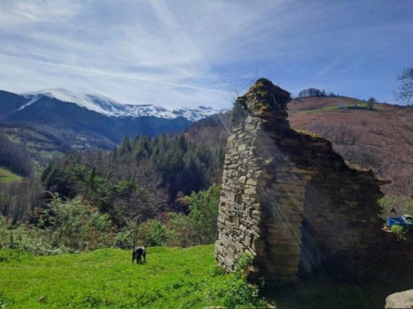 GRANGE A RENOVER GERMS SUR L'OUSSOUET (65)