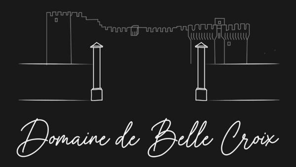 Exceptionnel terrain au "Domaine de Belle Croix"