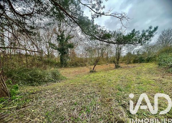 Terrain à vendre 4 887 m² Ciron