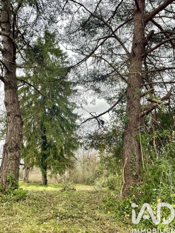 Terrain à vendre 4 887 m² Ciron