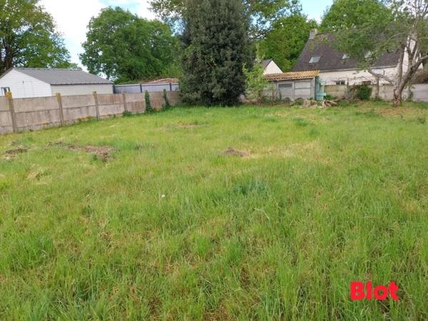 Terrain 559m²