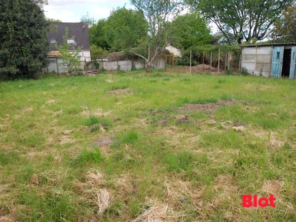 Terrain 559m²