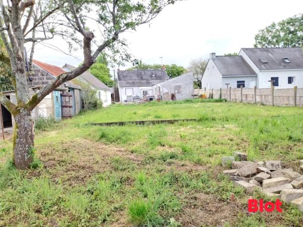 Terrain 559m²