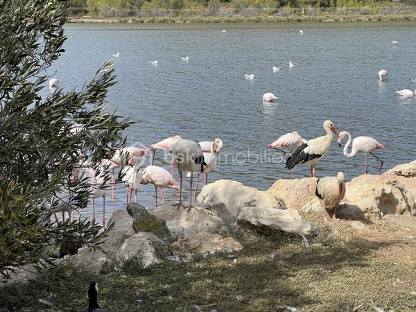 Maison en pierre de 158 m²