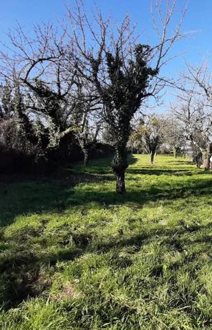 Terrain à vendre à Lens-Lestang (26210)