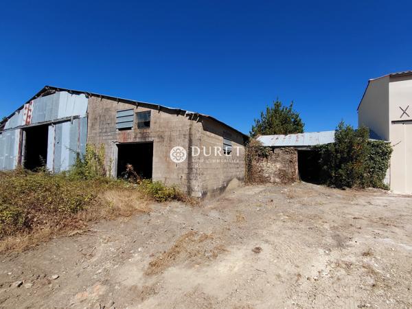 FERME 95 m² 2 CHAMBRES 6000 M² DE TERRAIN