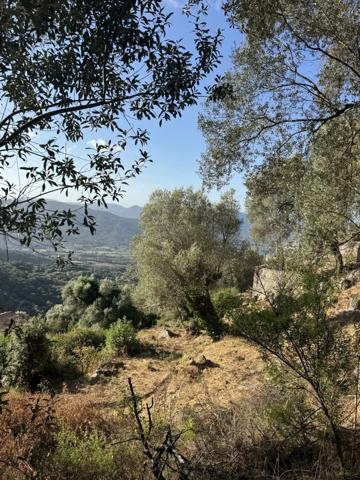 Vente Terrain 1124 m2 à Olmeto