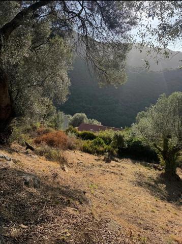 Vente Terrain 1124 m2 à Olmeto