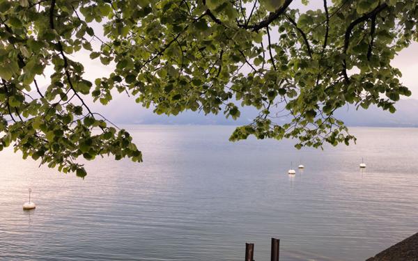 Appartement à vendre    4 pièces •  Douvaine