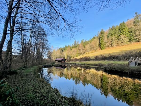 Chalet à vendre 3 pièces LE THOLY (88)