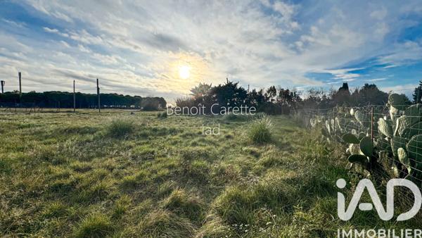 Terrain à vendre 1 124 m² Saint-Laurent-de-la-Salanque