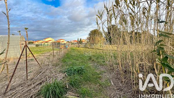 Terrain à vendre 1 124 m² Saint-Laurent-de-la-Salanque