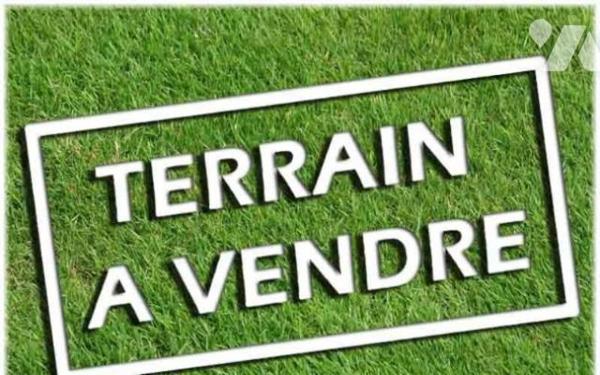 A VENDRE TERRAIN A BATIR - TALMAS (80260)