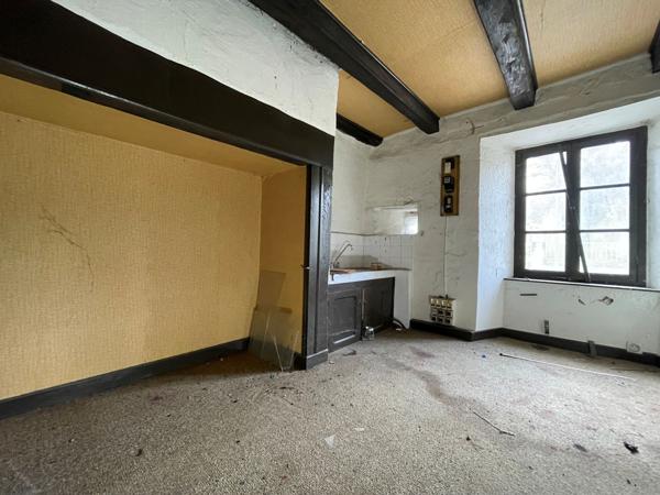 MAISON A RENOVER AVEC GRANGE-ETABLE A ANTIGNAC Antignac (15240)