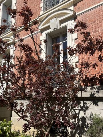 Versailles (78000) EXCLUSIVITE - COUP DE COEUR - MAISON FAMILIALE - 5 CHAMBRES ET 1 BUREAU - JARDIN PAYSAGE - TERRASSES - GARAGE