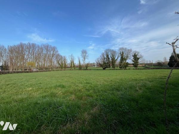 EN EXCLUSIVITE - LILLERS - Terrain à bâtir de 5373 m2 