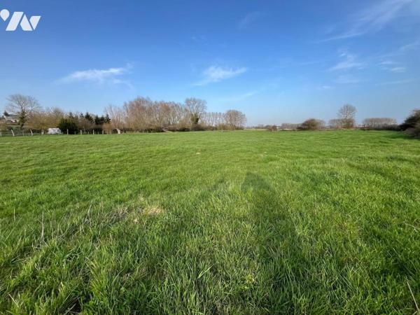 EN EXCLUSIVITE - LILLERS - Terrain à bâtir de 5373 m2 