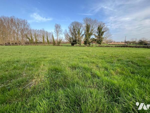 EN EXCLUSIVITE - LILLERS - Terrain à bâtir de 5373 m2 