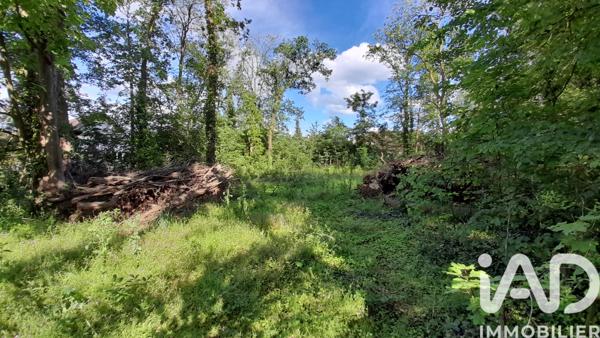 Terrain à vendre 2 595 m² Gouvieux