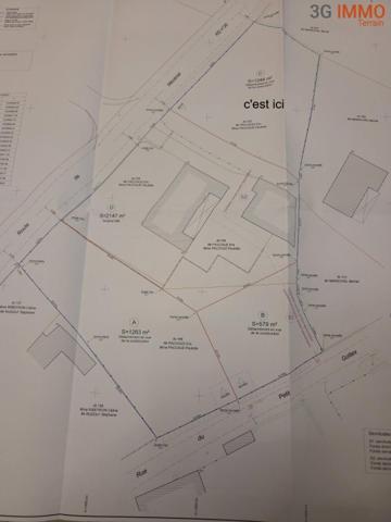Vente / Terrain