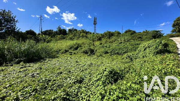 Terrain à vendre 993 m² Le Tampon