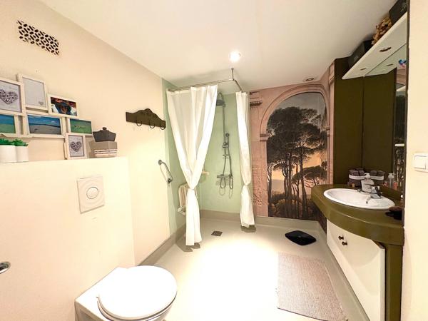 Maison à vendre 10 pièces 334M2 MIRANDE (32)